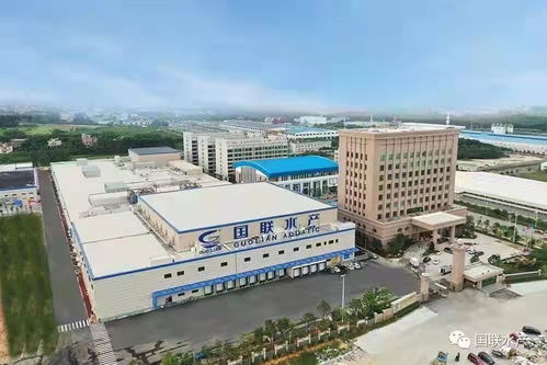 预制菜 让市民饱 口福 渔民增 财富