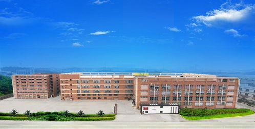 广东邦宝个人护理用品 江山集团的战略布局与市场前景