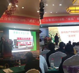 2018年江山集团“减抗”养殖峰会成功召开