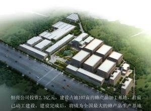 江山恒亮 蜂业翘楚，酿造甜蜜事业